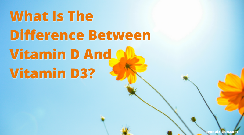 What Is The Difference Between Vitamin D2 And Vitamin D3?