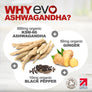 Organic Ashwagandha KSM-66 500mg